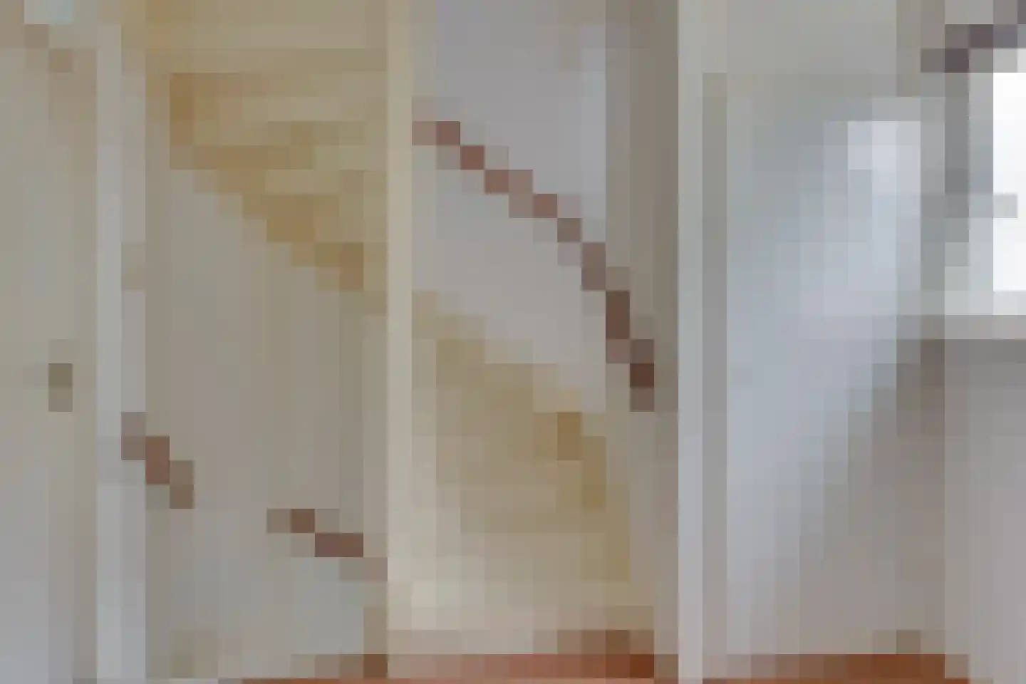 Schoolstraat 7 Luttelgeest thumbnail 30