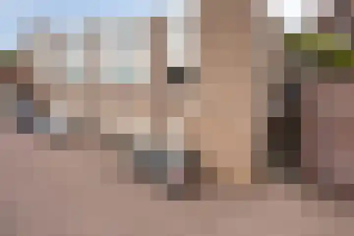 Schoolstraat 7 Made thumbnail 5