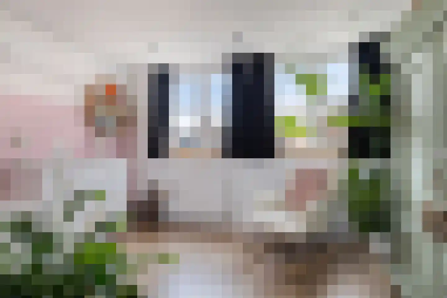 Schoolstraat 7 Monnickendam thumbnail 27