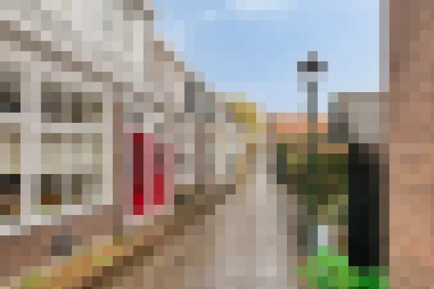 Schoolstraat 7 Monnickendam thumbnail 36