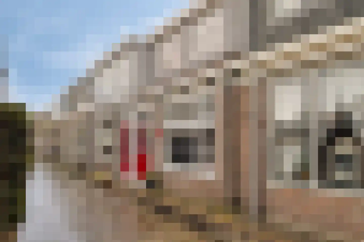 Schoolstraat 7 Monnickendam thumbnail 38