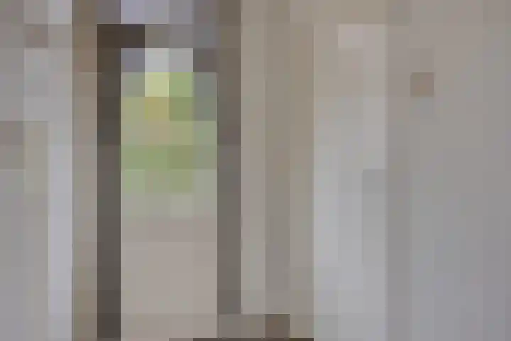 Schoolstraat 7 Nieuwerkerk thumbnail 18