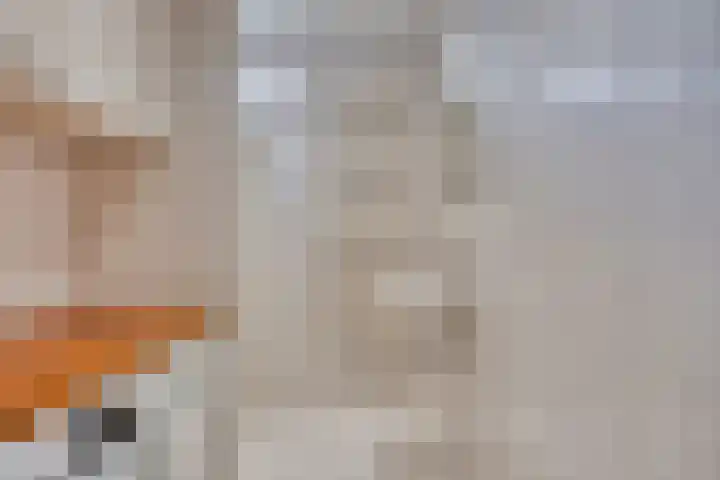 Schoolstraat 7 Nieuwerkerk thumbnail 20