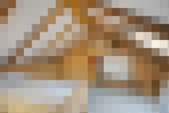 Schoolstraat 7 Nieuwerkerk thumbnail 27