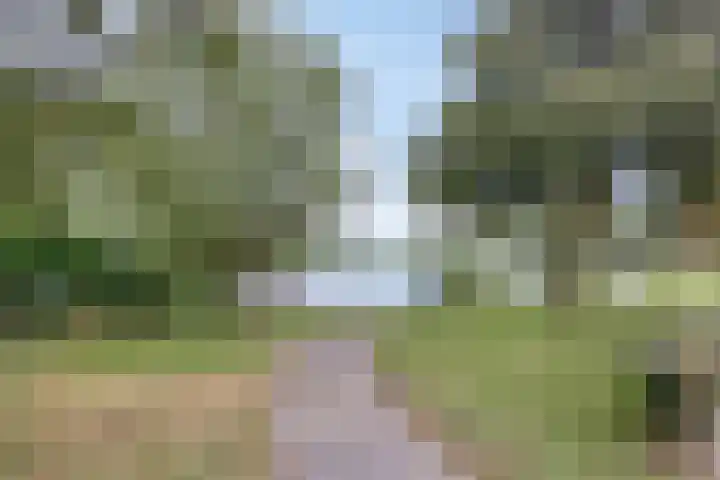 Schoolstraat 7 Nieuwerkerk thumbnail 33