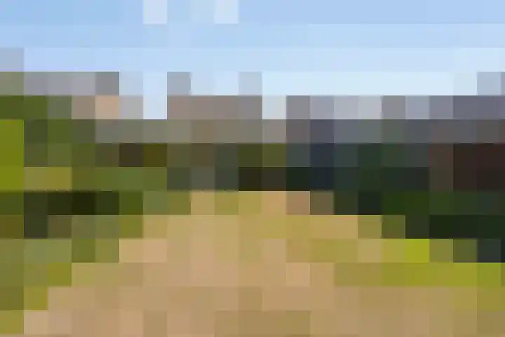 Schoolstraat 7 Nuland thumbnail 35