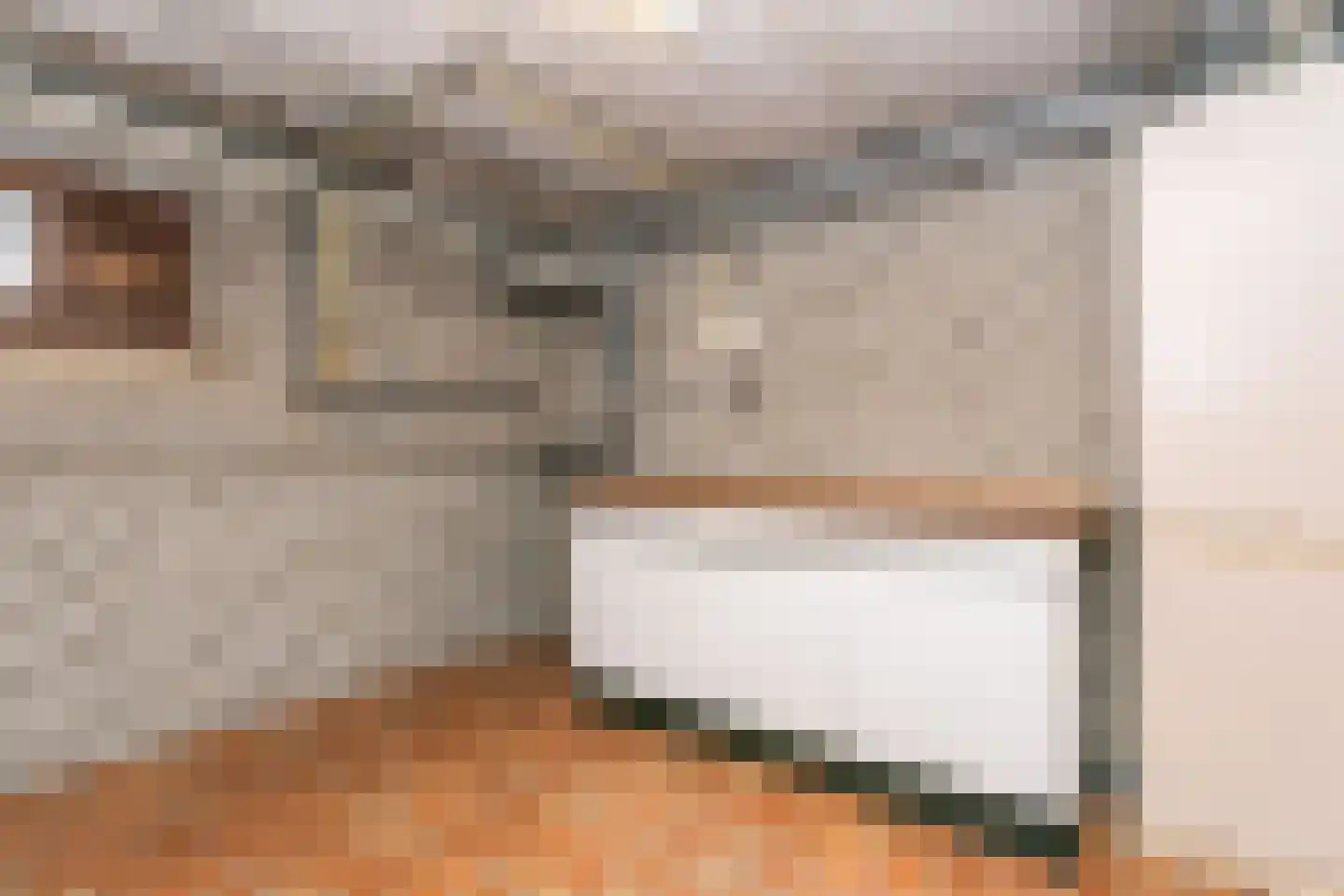 Schoolstraat 7 Schinveld thumbnail 31