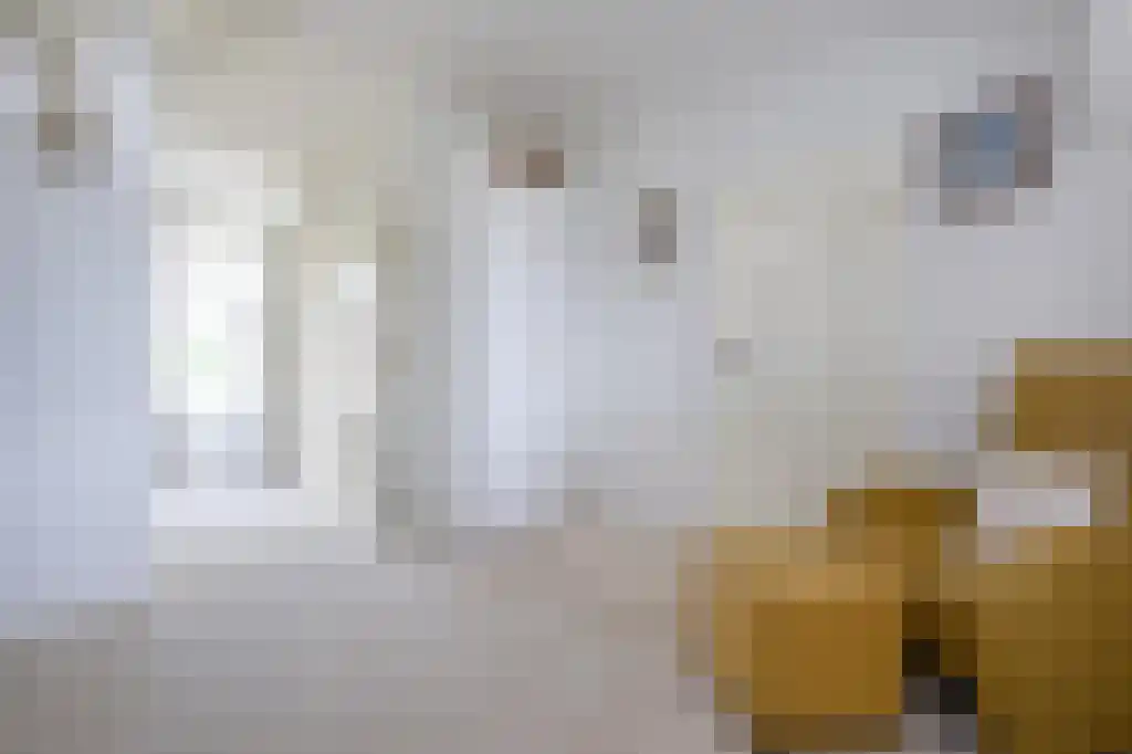 Schoolstraat 7 Stellendam thumbnail 37