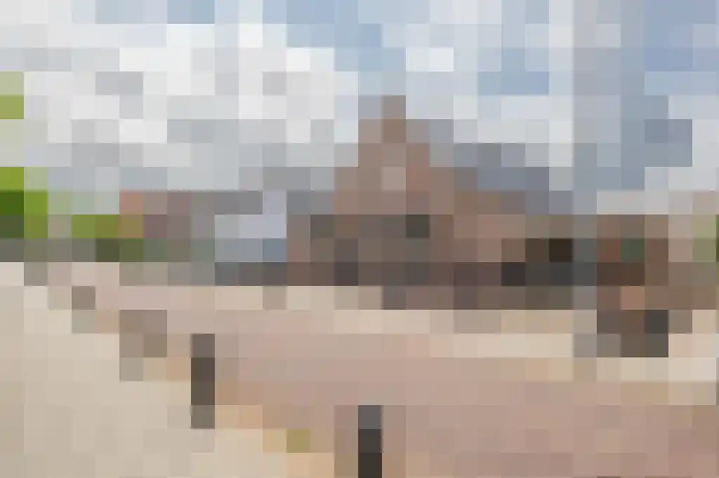 Schoolstraat 7 Stellendam thumbnail 48