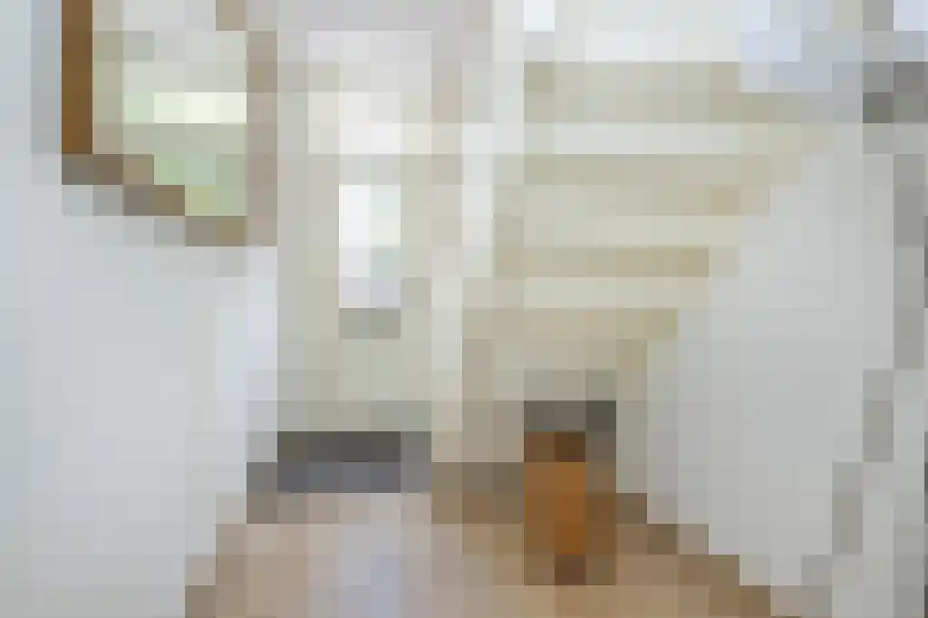 Schoolstraat 7 Stellendam thumbnail 6