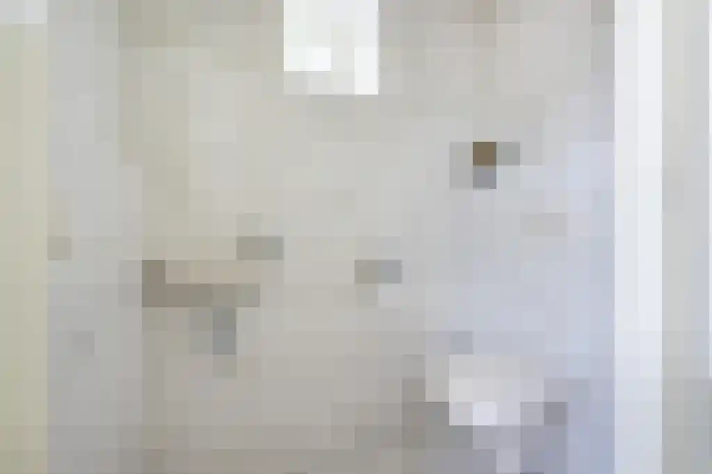 Schoolstraat 7 Stellendam thumbnail 9