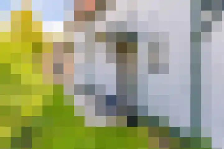 Schoolstraat 7 Vlagtwedde thumbnail 12