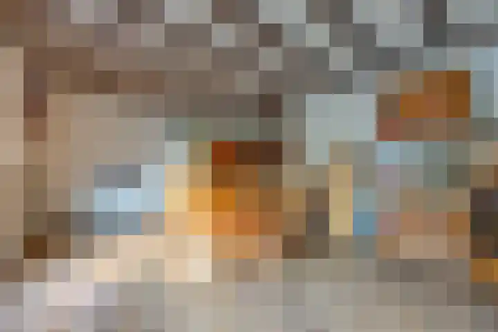 Schoolstraat 7 Vlagtwedde thumbnail 27