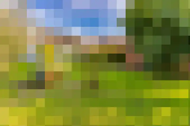 Schoolstraat 7 Vlagtwedde thumbnail 5