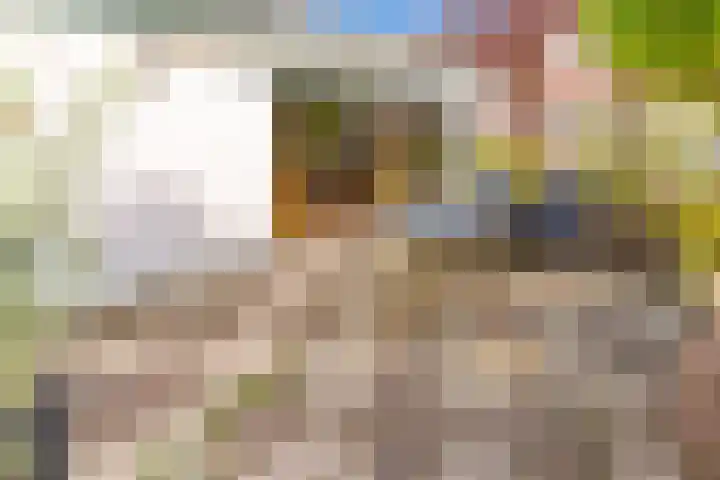 Schoolstraat 7 Vlagtwedde thumbnail 51