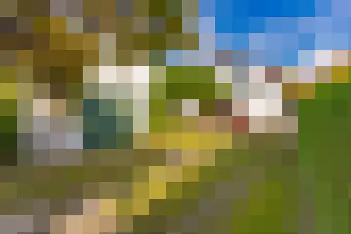Schoolstraat 7 Vlagtwedde thumbnail 52