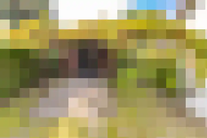 Schoolstraat 7 Vlagtwedde thumbnail 55