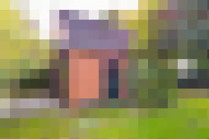Schoolstraat 7 Vlagtwedde thumbnail 57