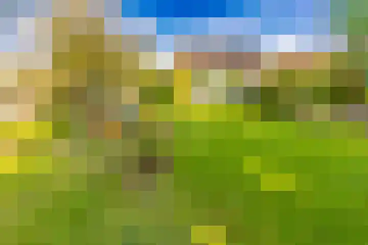 Schoolstraat 7 Vlagtwedde thumbnail 58