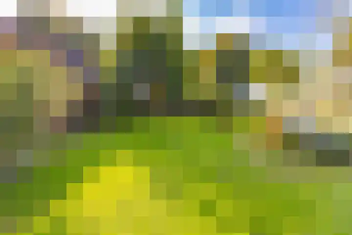 Schoolstraat 7 Vlagtwedde thumbnail 59