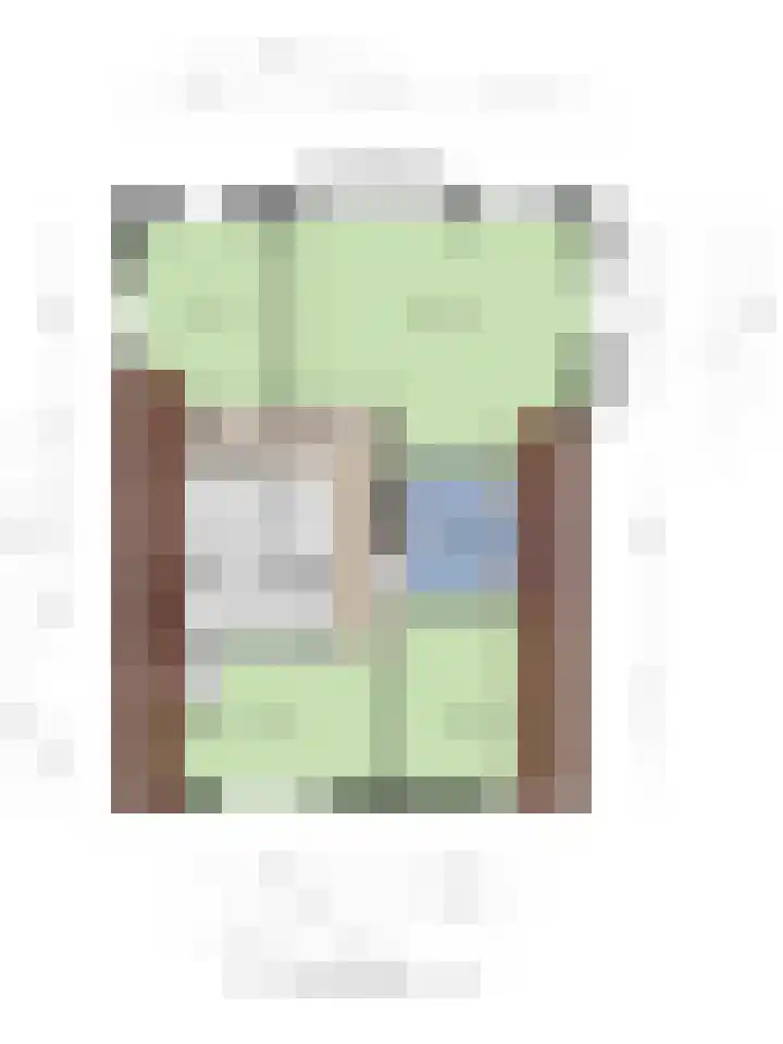Schoolstraat 7 Vlagtwedde thumbnail 61