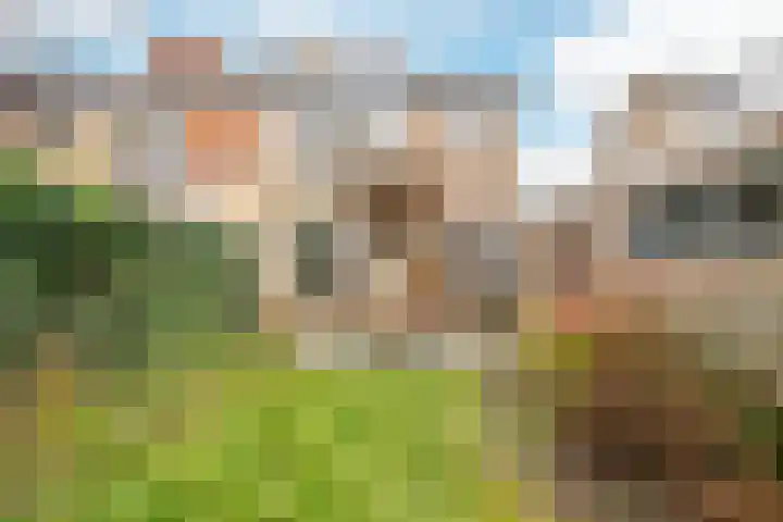 Schoolstraat 71 Nieuw-Vennep thumbnail 16
