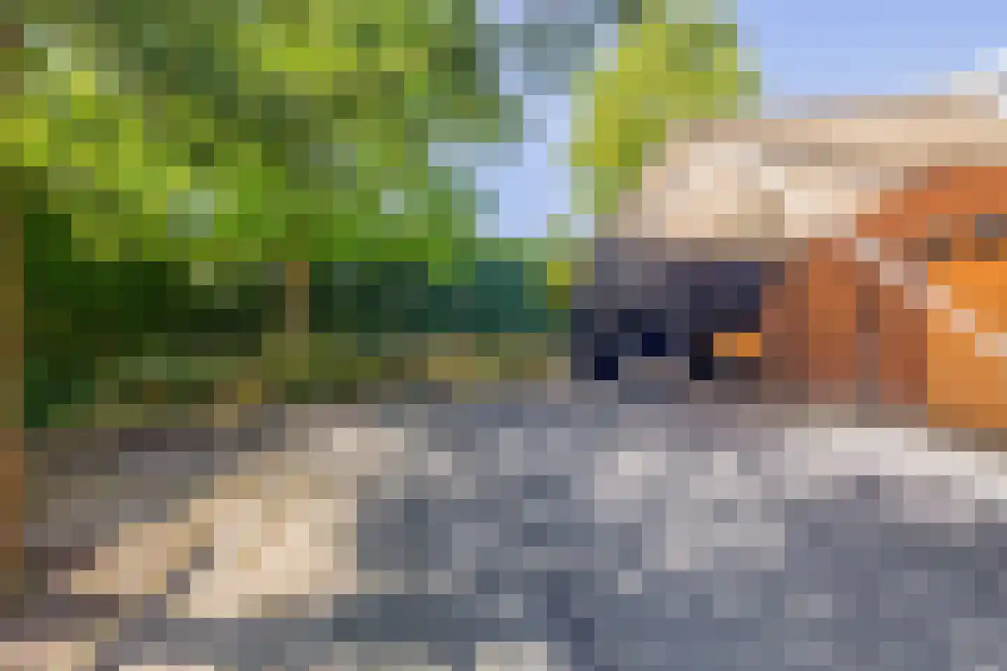 Schoolstraat 73 Belfeld thumbnail 40