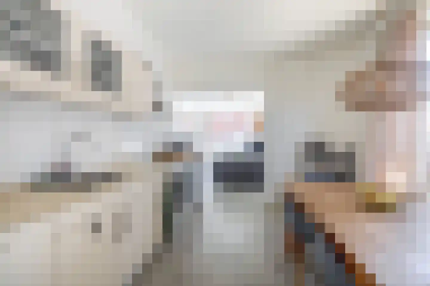Schoolstraat 73 Belfeld thumbnail 43