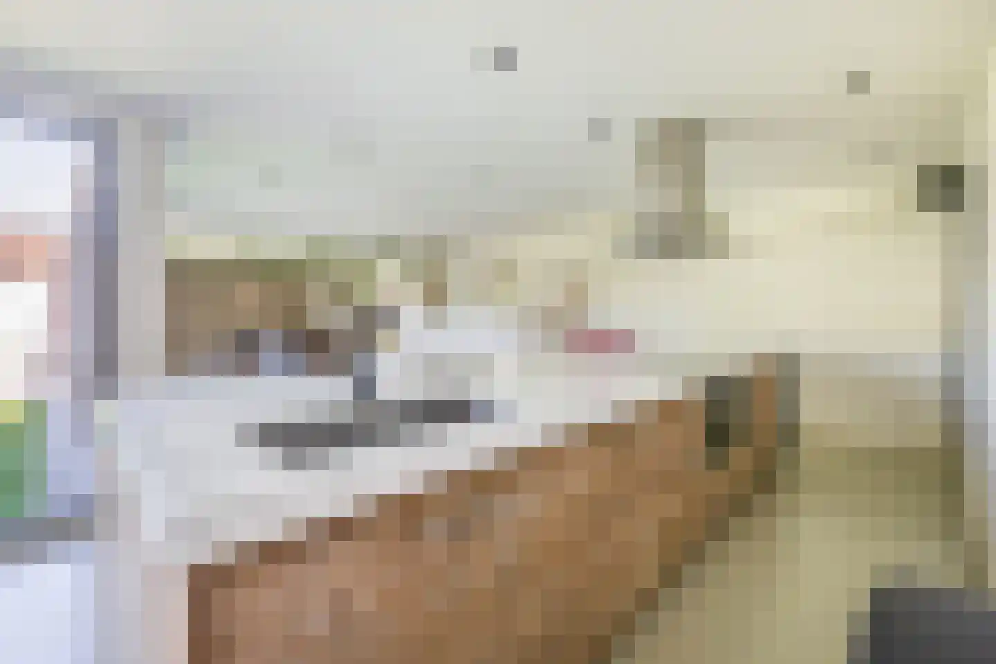 Schoolstraat 73 Belfeld thumbnail 7