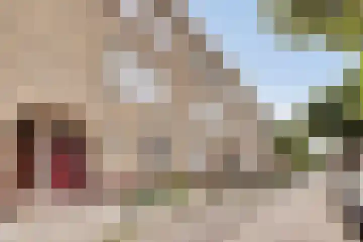 Schoolstraat 76 Arnhem