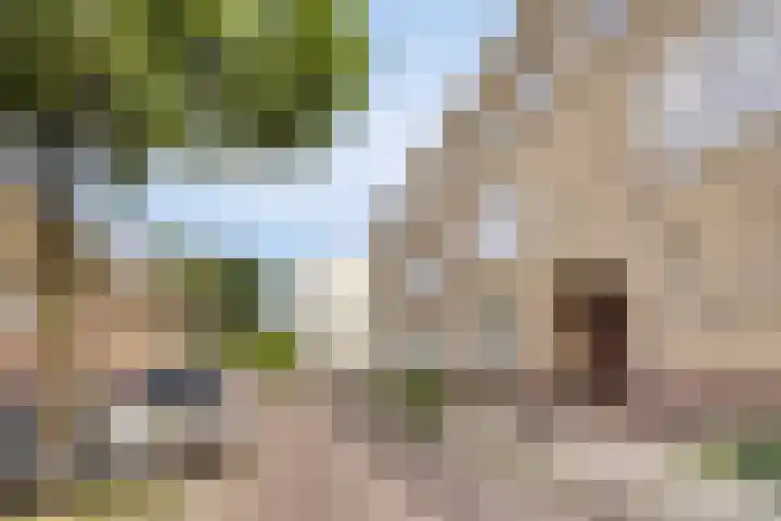 Schoolstraat 76 Arnhem thumbnail 31