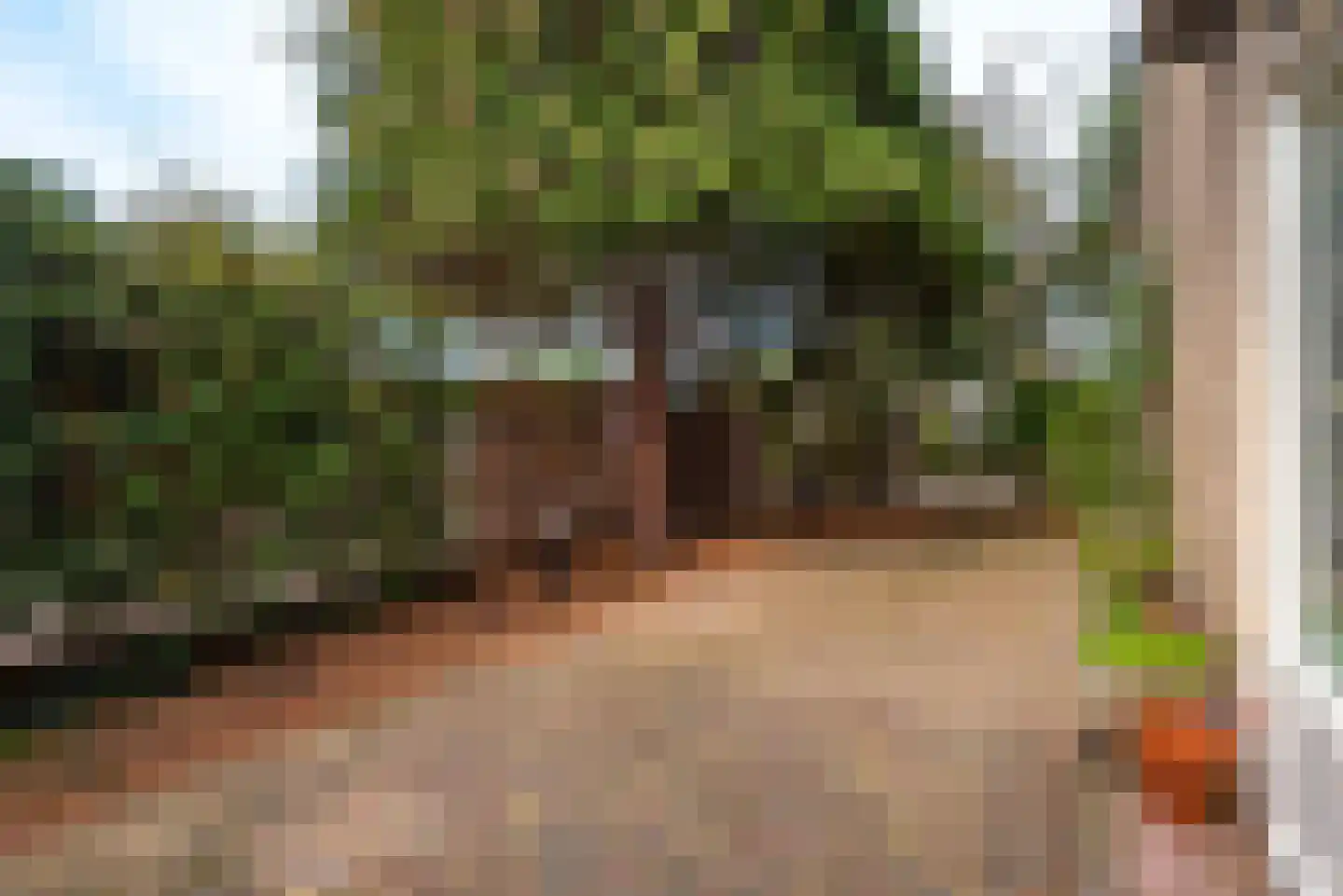 Schoolstraat 76 Baarn thumbnail 14
