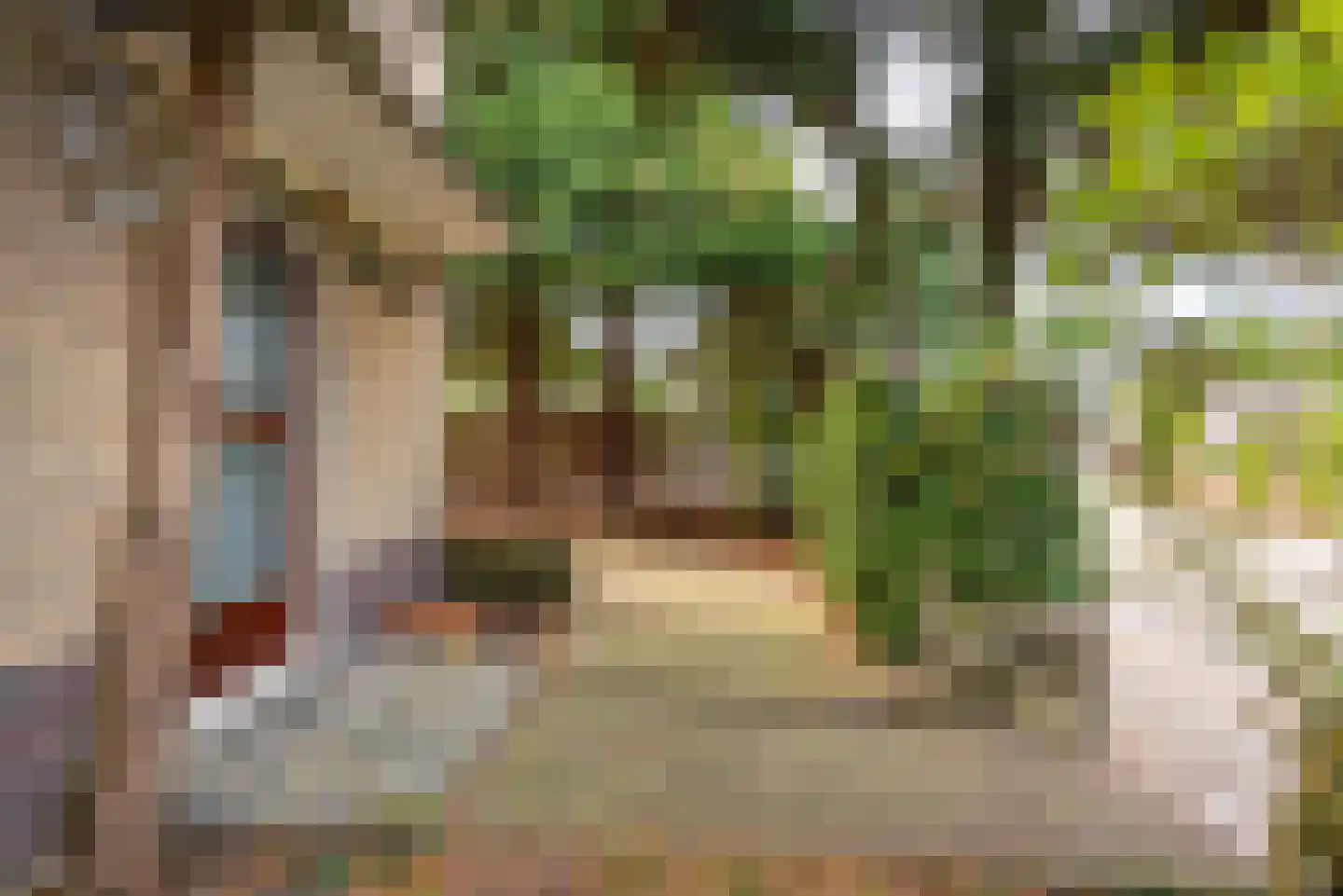 Schoolstraat 76 Baarn thumbnail 28