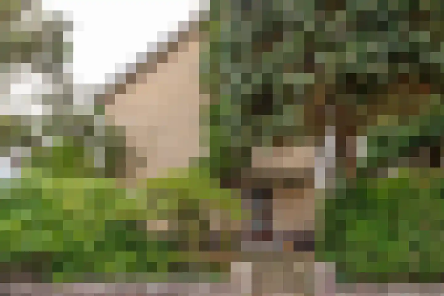 Schoolstraat 76 Baarn thumbnail 29