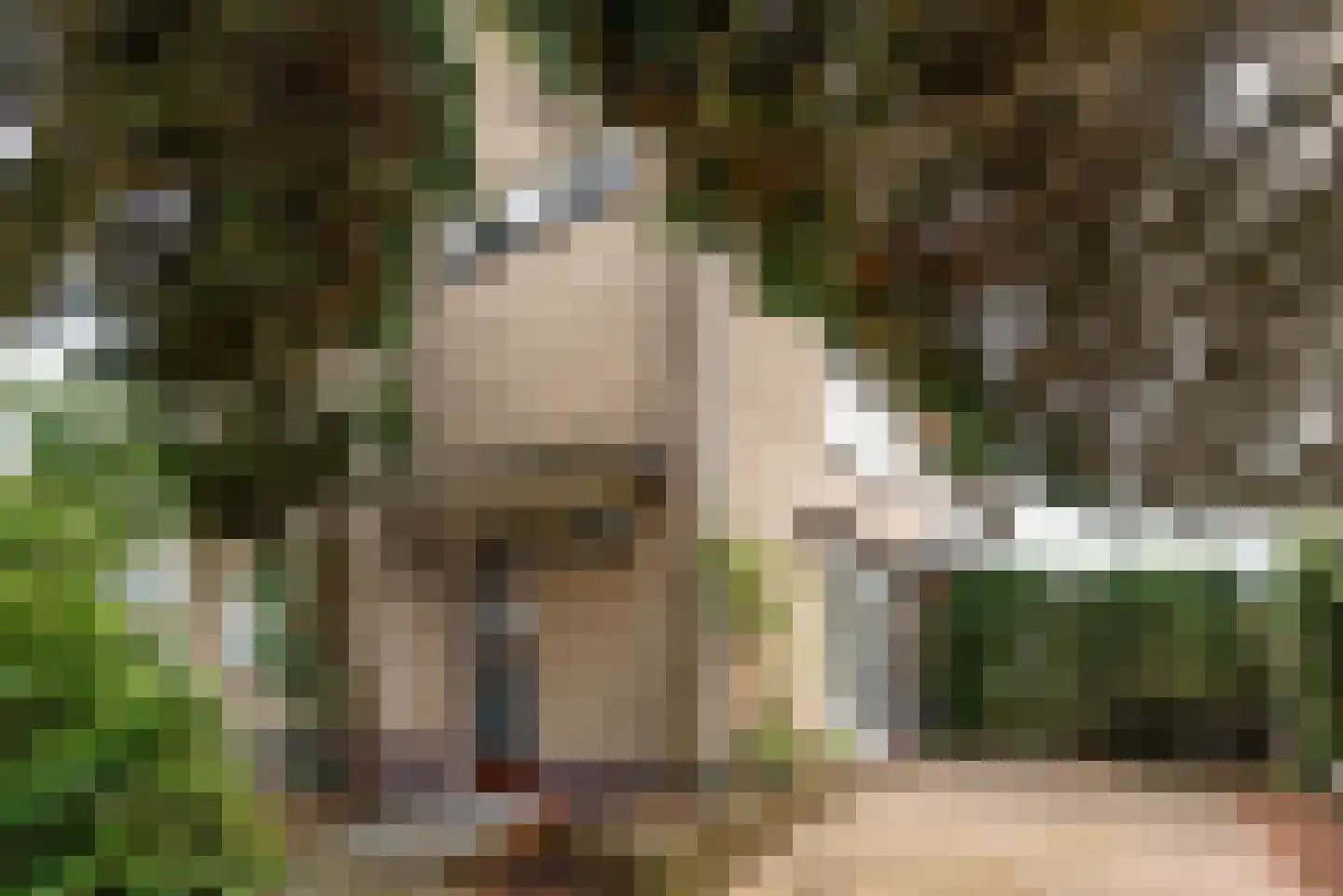 Schoolstraat 76 Baarn thumbnail 30