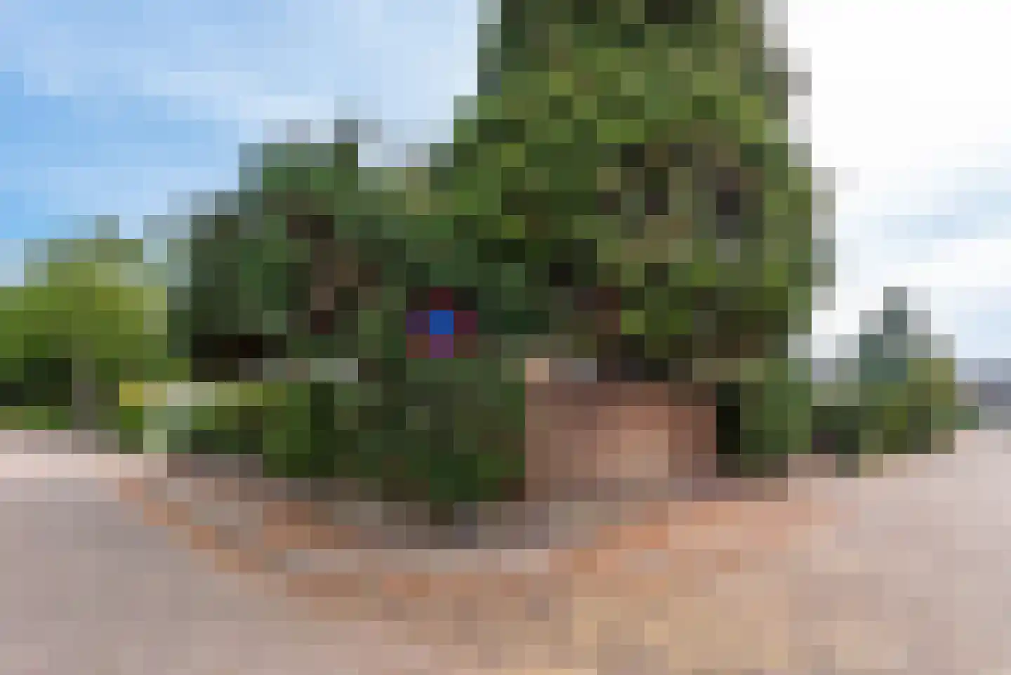 Schoolstraat 76 Baarn thumbnail 32