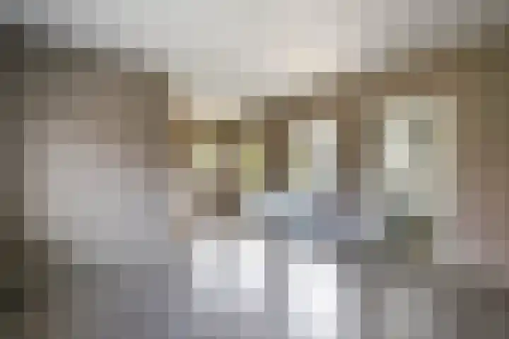 Schoolstraat 76 Krimpen aan de Lek thumbnail 8