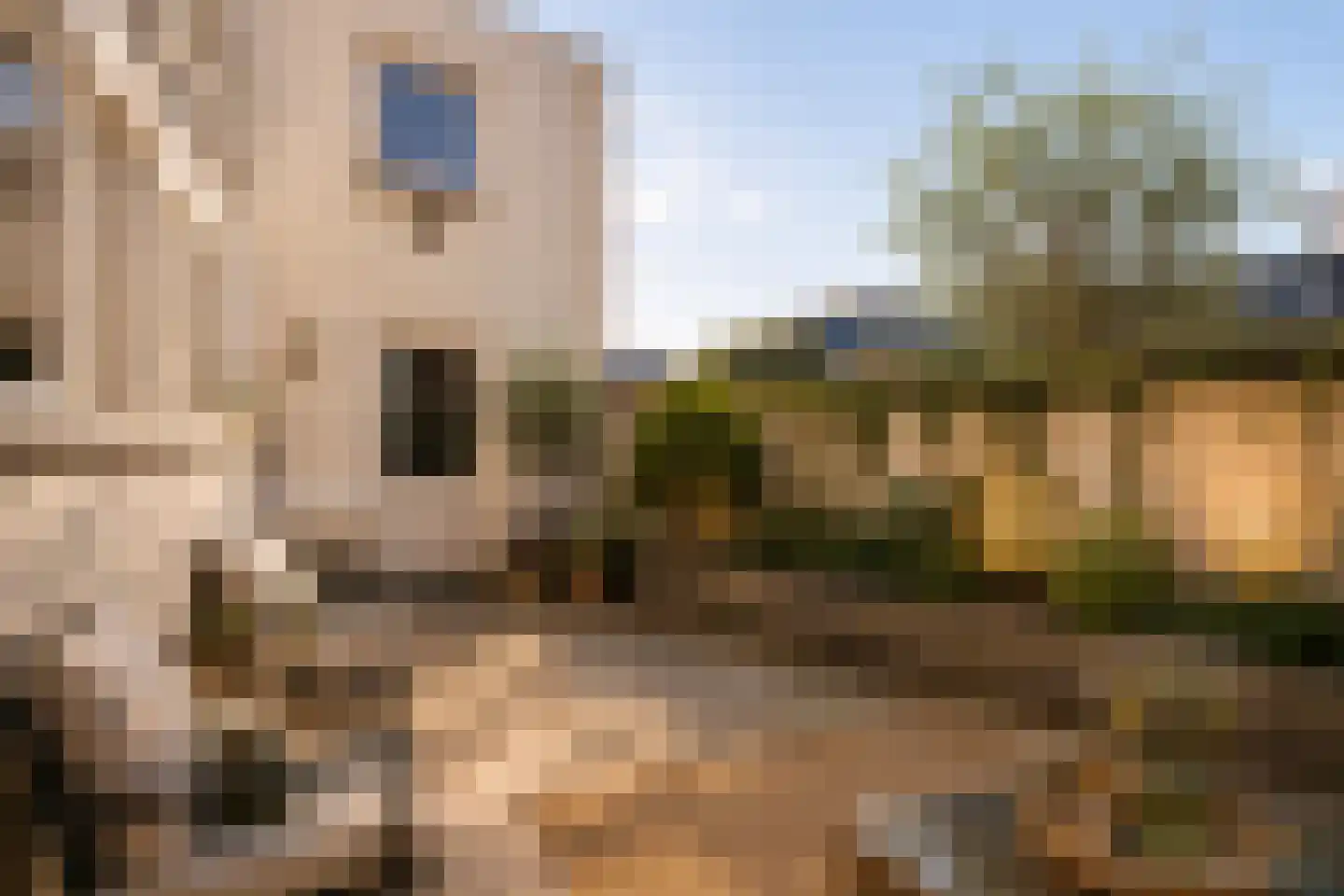Schoolstraat 77 Noordwijk thumbnail 21