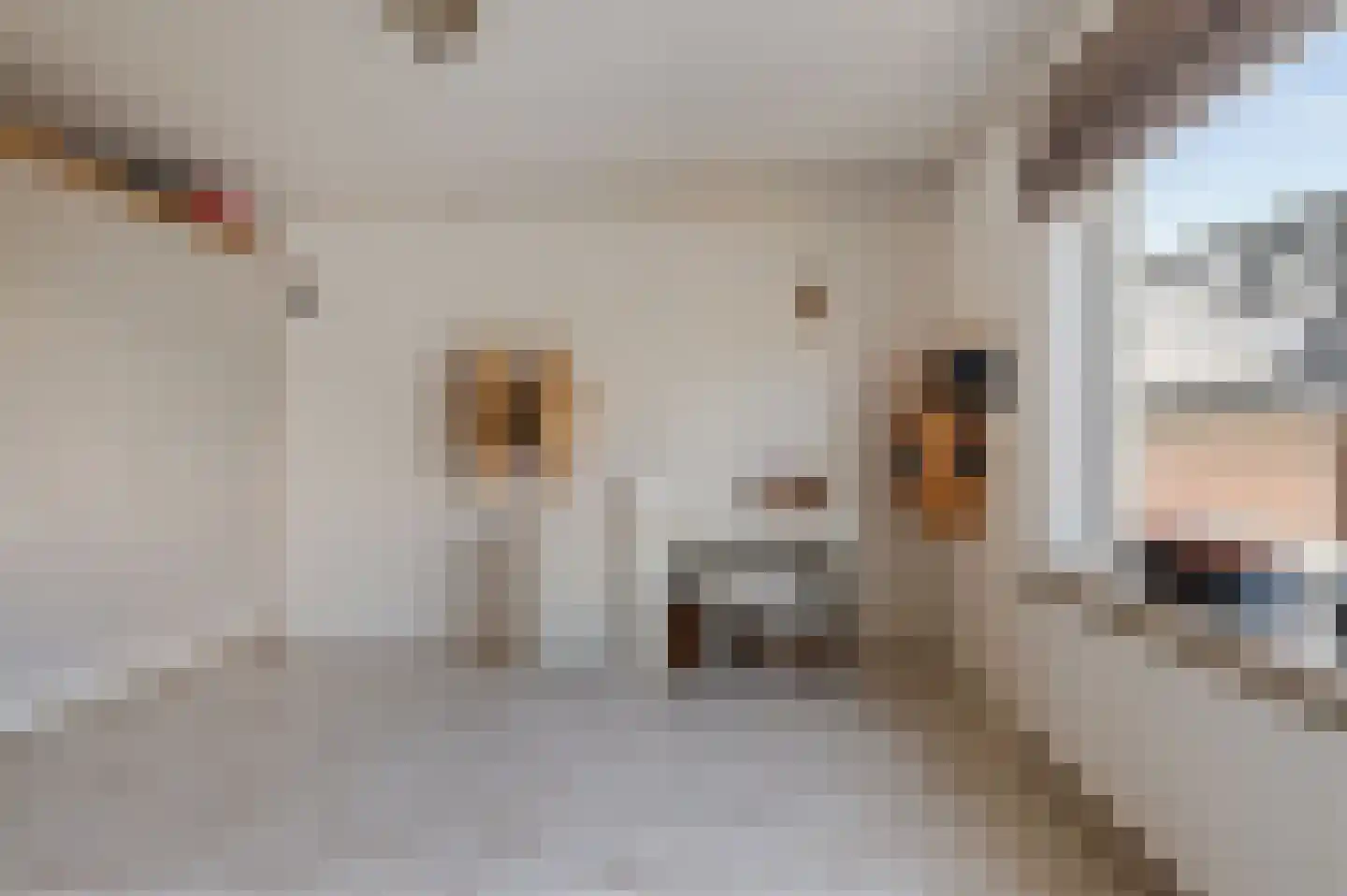 Schoolstraat 77 Noordwijk thumbnail 32