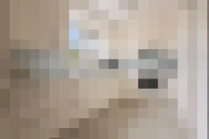Schoolstraat 8 A Bedum thumbnail 17