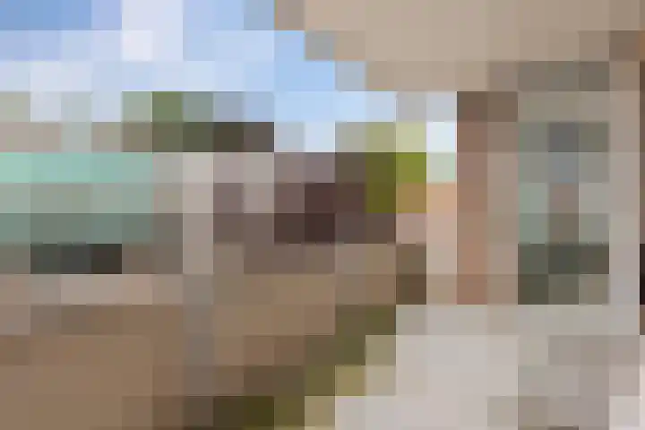 Schoolstraat 8 A Bedum thumbnail 26