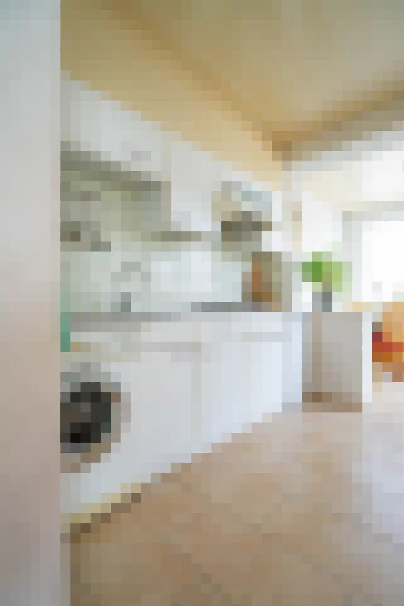 Schoolstraat 8 Aarle-Rixtel thumbnail 16
