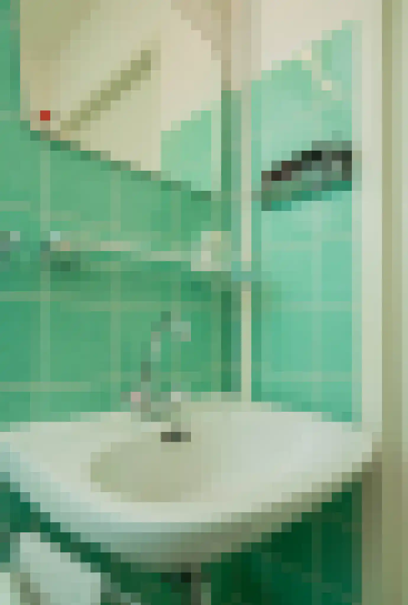 Schoolstraat 8 Aarle-Rixtel thumbnail 33