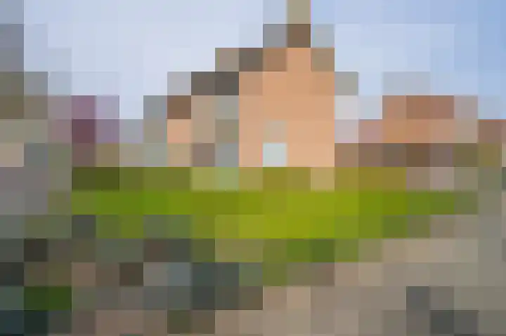 Schoolstraat 8 Aarle-Rixtel thumbnail 4