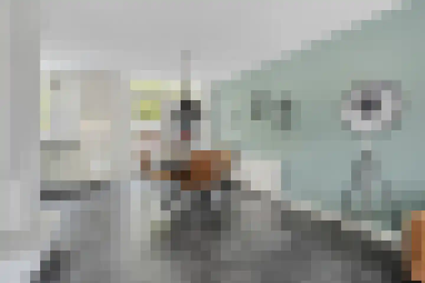 Schoolstraat 8 Alphen thumbnail 18