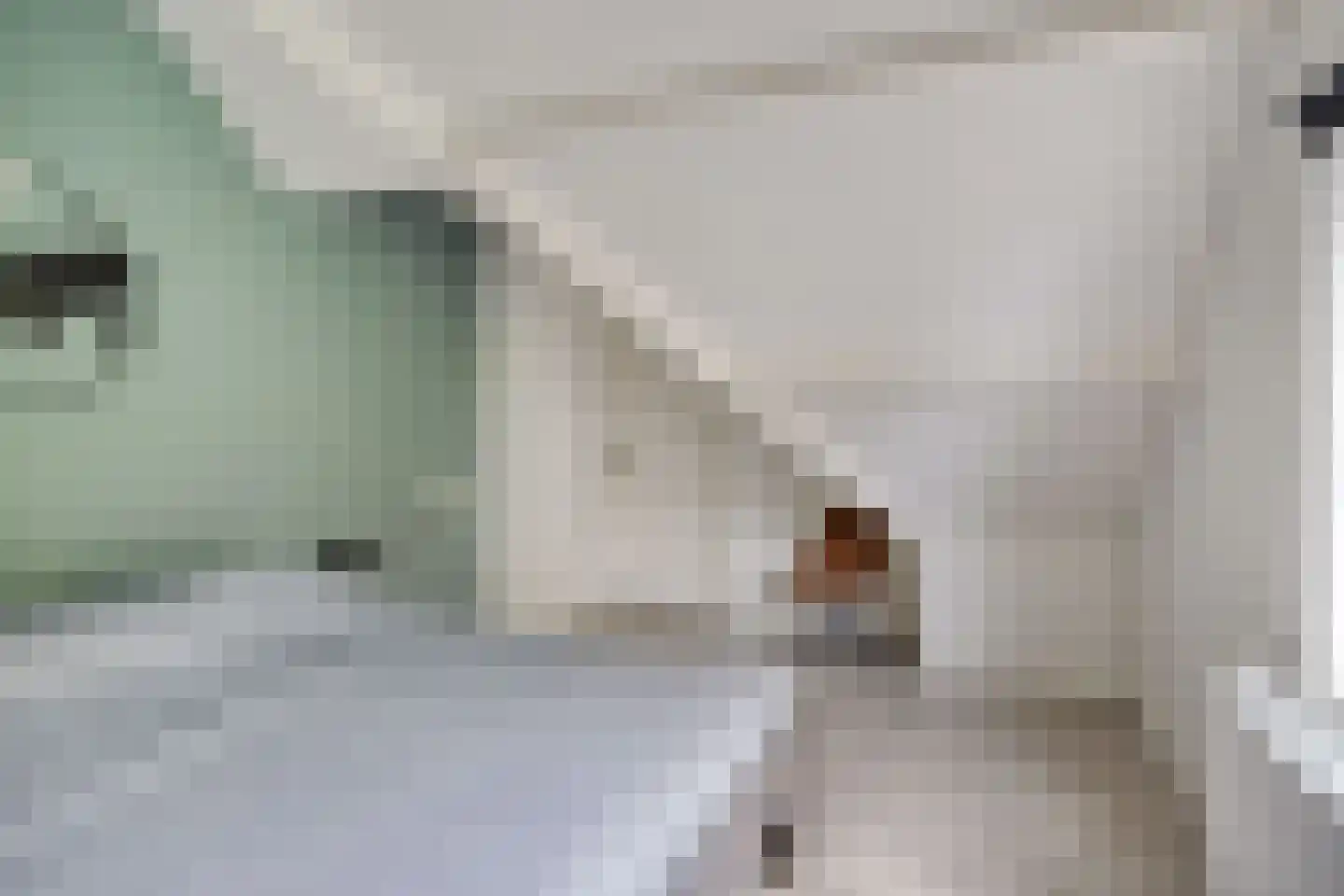 Schoolstraat 8 Alphen thumbnail 34