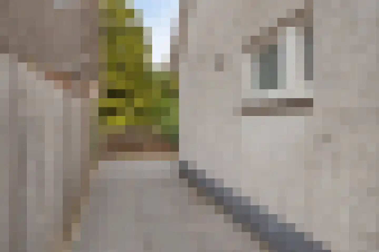 Schoolstraat 8 Alphen thumbnail 42
