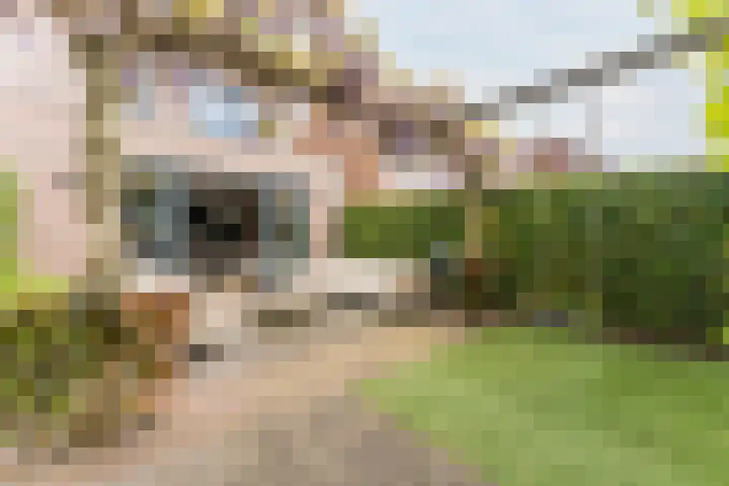 Schoolstraat 8 B Montfoort thumbnail 28