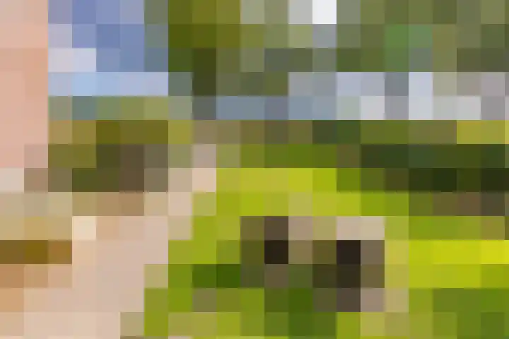 Schoolstraat 8 Ees thumbnail 30