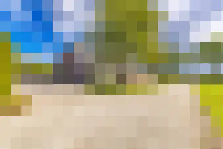 Schoolstraat 8 Ees thumbnail 33